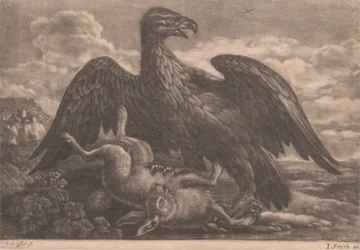 orzeł i zając