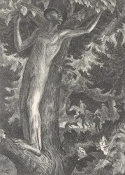 Uciekinier