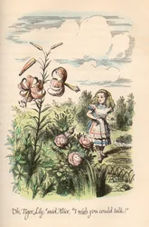 Alicja w Krainie Czarów i Przez Zwierciadło, autor: Lewis Carroll, ilustracje: John Tenniel