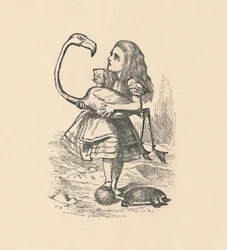 Alicja próbuje grać w krokieta, używając flaminga jako młotka, 1889