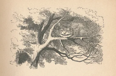 Kot z Cheshire zaczyna zanikać, jego uśmiech jest ostatni, 1889