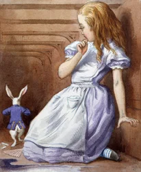 Nieznany obraz