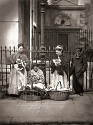 Covent Garden Flower Woman, z „Street Life in London”, J. Thomson i Adolphe Smith
