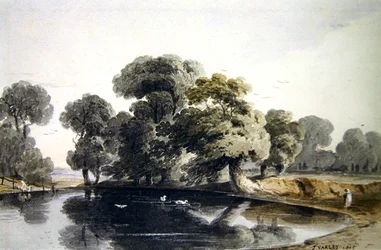 Naze, Essex