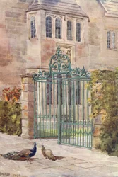 Creech Grange (druk kolorowy)