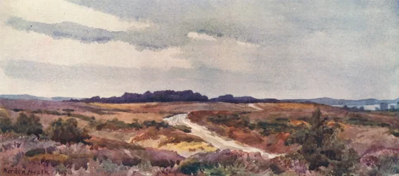 Norden Heath (druk kolorowy)