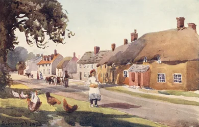 Stoborough (druk kolorowy)