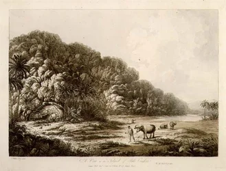 Widok na wyspę Pulo Condor, z „Widoków na morzach południowych”, wyd. 1792 (akwaforta)