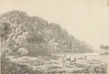 Widok na wyspie Pulo Condore