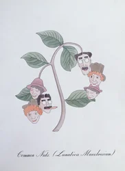 Wspólne orzechy. (Lunatica Marxbrosium), ilustracja z „Fałszywej księgi botaniki” Johna Weira