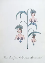 Fleur de Lysia (Parisiana Spectacula.), ilustracja z „Fałszywej księgi botaniki” Johna Weira