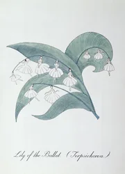 Konwalia baletowa (Terpsichore.), ilustracja z „Fałszywej księgi botaniki” Johna Weira