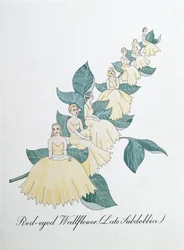 Red-eyed Wallflower (Późne Subdebbia), ilustracja z „Fałszywej księgi botaniki” Johna Weira