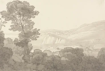 Widok z lasu, z widokiem na rzekę i wzgórza w Teignmouth, Devon