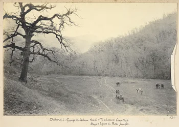 Prowincja Razavi Khorasan, Iran, ok. 1908 (zdjęcie czarno-białe)