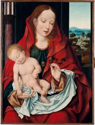 Dziewica z Dzieciątkiem Obraz Joosa Van Cleve młodego (ok. 1485-1540) 1518-1522 niedz. 61x45,5 cm Genes, Musei di Strada Nuova (dawniej Palazzo Bianco)