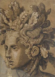 Głowa Driad według Fransa Florisa, ok. 1555.