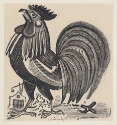 Kogut, ca. 1880-1910., ca. 1880-1910.