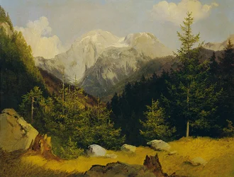 Wysoki Goll