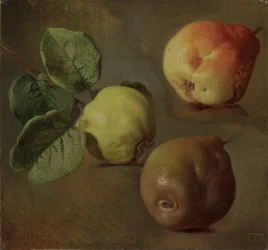 Les coings - Pigwa - Josef Navratil (1798-1865). olej na płótnie