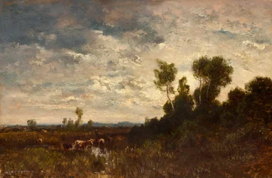 Krajobraz wrzosowiska