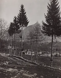 Album "Moja wojna światowa - wspomnienia frontu południowo-zachodniego w Karyntii, Włochy, Trentino-Alto Adige) 31.03.1915-12.11.1918 - Wiedeń Josefa Zohlego": gruzy Plicznej (b/w fot.
