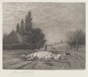 Wiejska ulica we Francji ze stadem owiec
