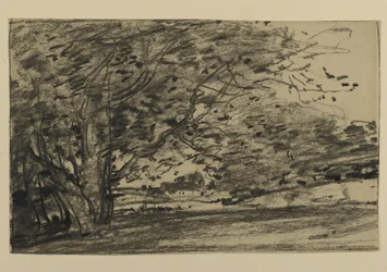Studium Drzew, 1870 (grafit na papierze)
