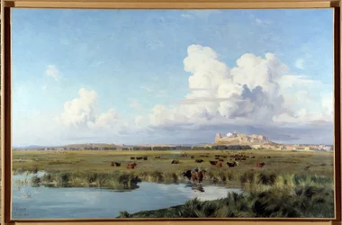 Pejzaż Camargue (olej na płótnie)