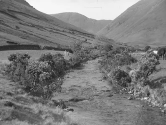 Strumień przepływający przez krajobraz Wastwater