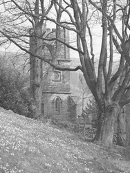 Widok kościoła; architektura; religijny; kościelny; wieża przez drzewa