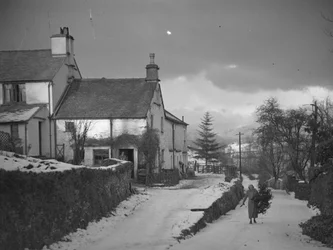 Kobieta niosąca gałąź na drodze obok Borwick Fold Farm w Hawkshead w śniegu