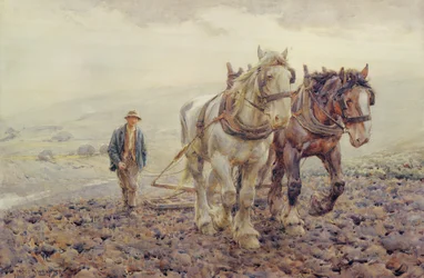 Harrowing na South Downs w pobliżu Wilmington, Sussex,