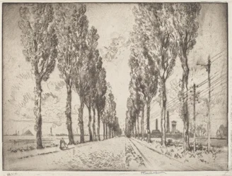 Aleja, Valenciennes