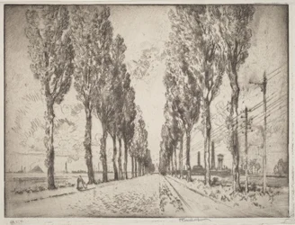 Aleja, Valenciennes