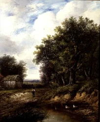 Ścieżka nad stawem