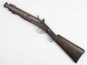 Garłacz z bagnetem sprężynowym wydany Ochotnikom Irlandzkim, ok. 1815 r. (garłacz, skałkowy)