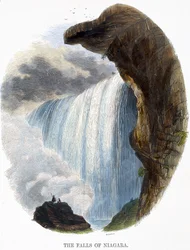 Wodospady Niagara, Zjawiska natury, 1849