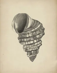 Szczegółowa spirala