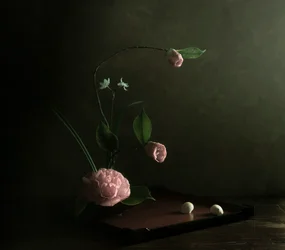 Ikebana z różową kamelią
