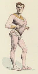 Cyrk siłacz, z wyraźną klatką piersiową (kolor lito)