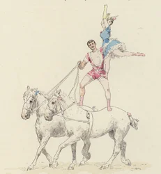 Akt konia (kolor lito)