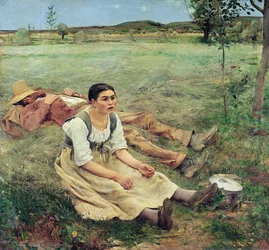 Sianokosy, 1877