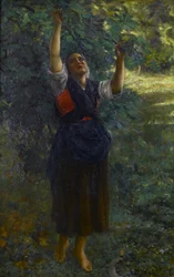 Francuski: Cueilleuse de figues