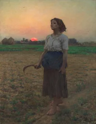 Pieśń skowronka, 1884