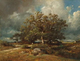 Stary dąb, ok. 1870 (olej na płótnie)