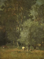 Widok w lesie