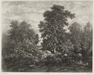 Staw według Théodore Rousseau (1812-67)