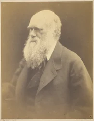 Karol Darwin