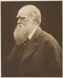 Karol Darwin